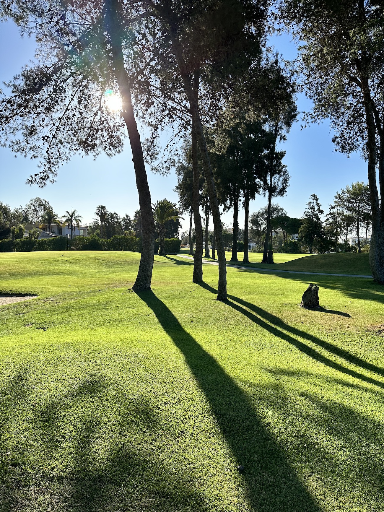 Alto Golf Club