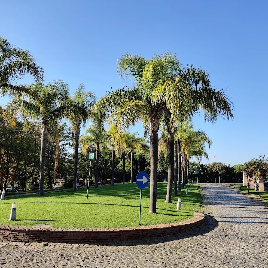 Laguna