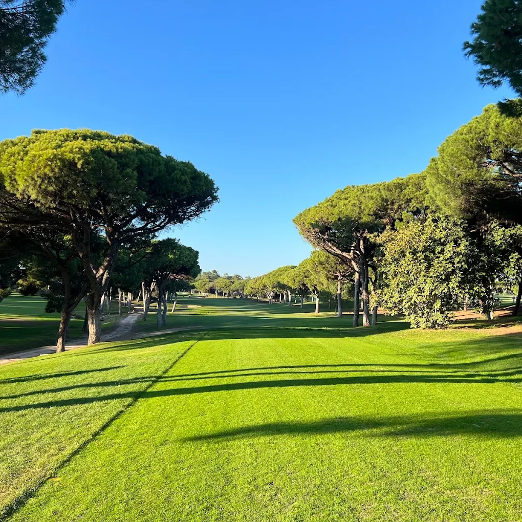The Old Course