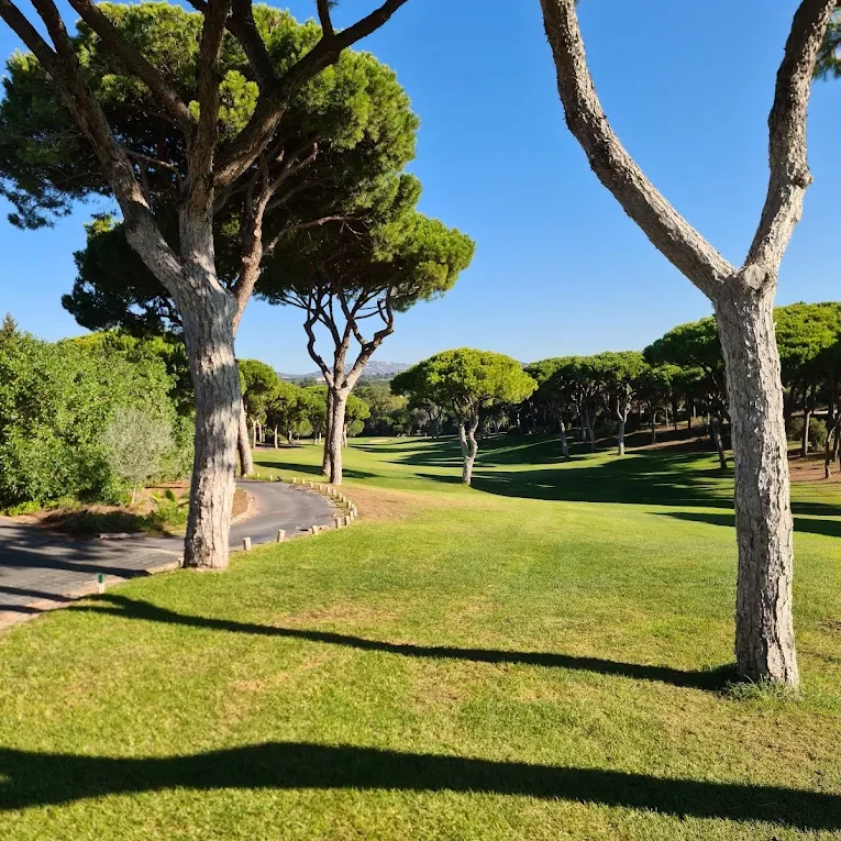 The Old Course