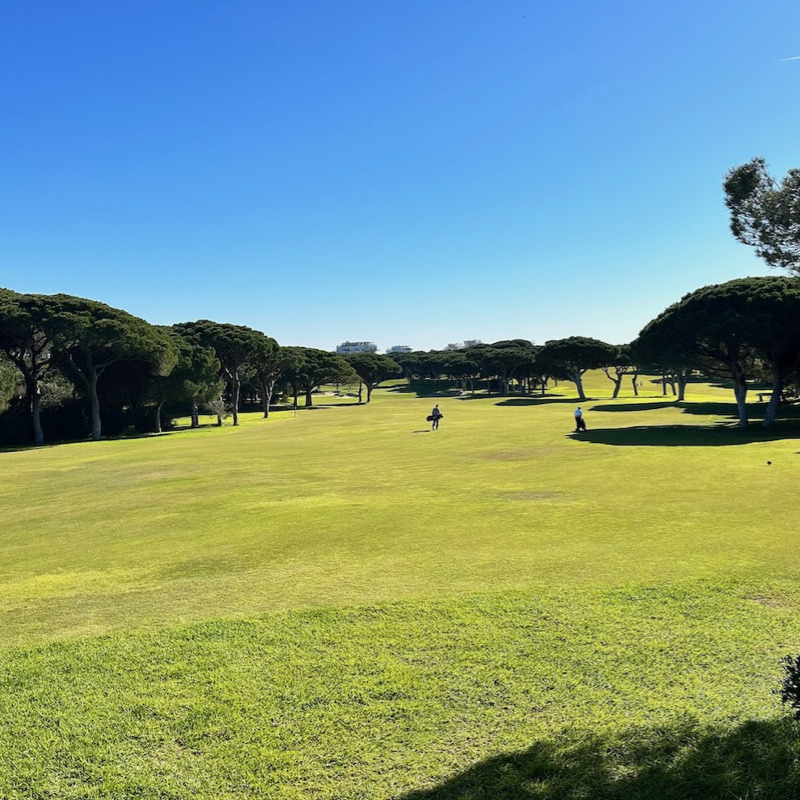 View of Pine Cliffs